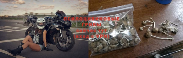 амф Михайловка