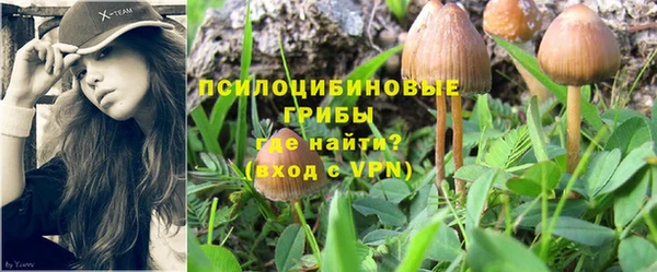 гидра Михайлов