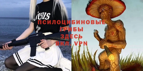 гидра Михайлов