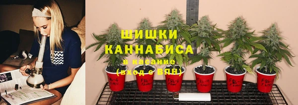 амф Михайловка