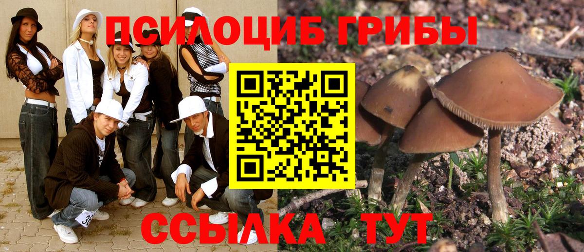 Псилоцибиновые грибы Psilocybe  Галлюциногенные грибы ЛСД  Реж  Вход с VPN 
