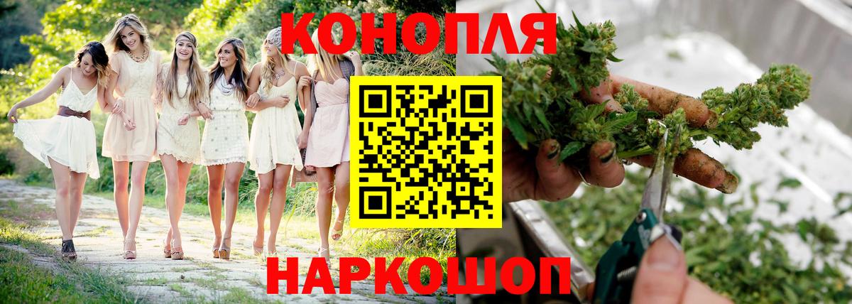 Бошки марихуана THC 21%  Вход с VPN  Марихуана план  Реж  Марихуана марихуана 